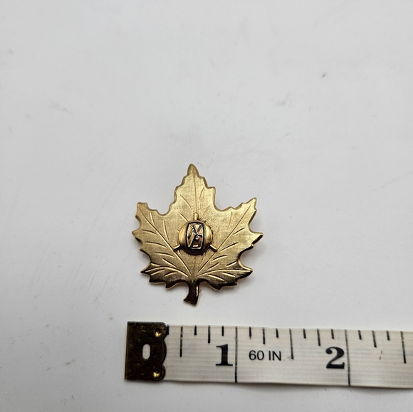 Gold Tone Maple Leaf Pin with ' NE ' on iit - Picture 1 of 3